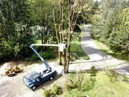 Hazard Tree inspection via drone
