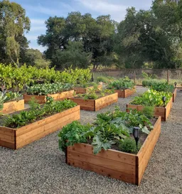 Olympia Reclaimed Lumber for Natural Garden Beds