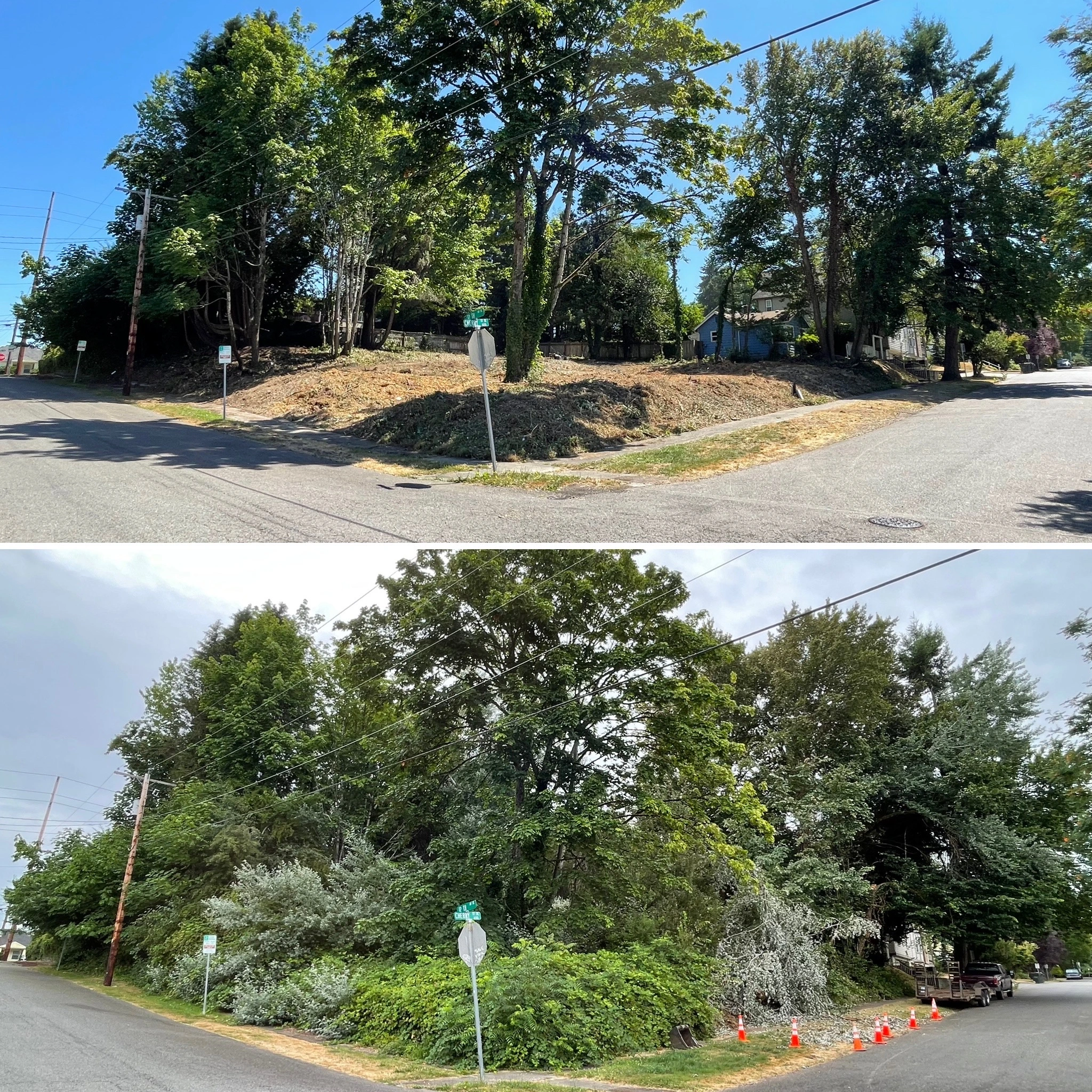 Corner lot before and after