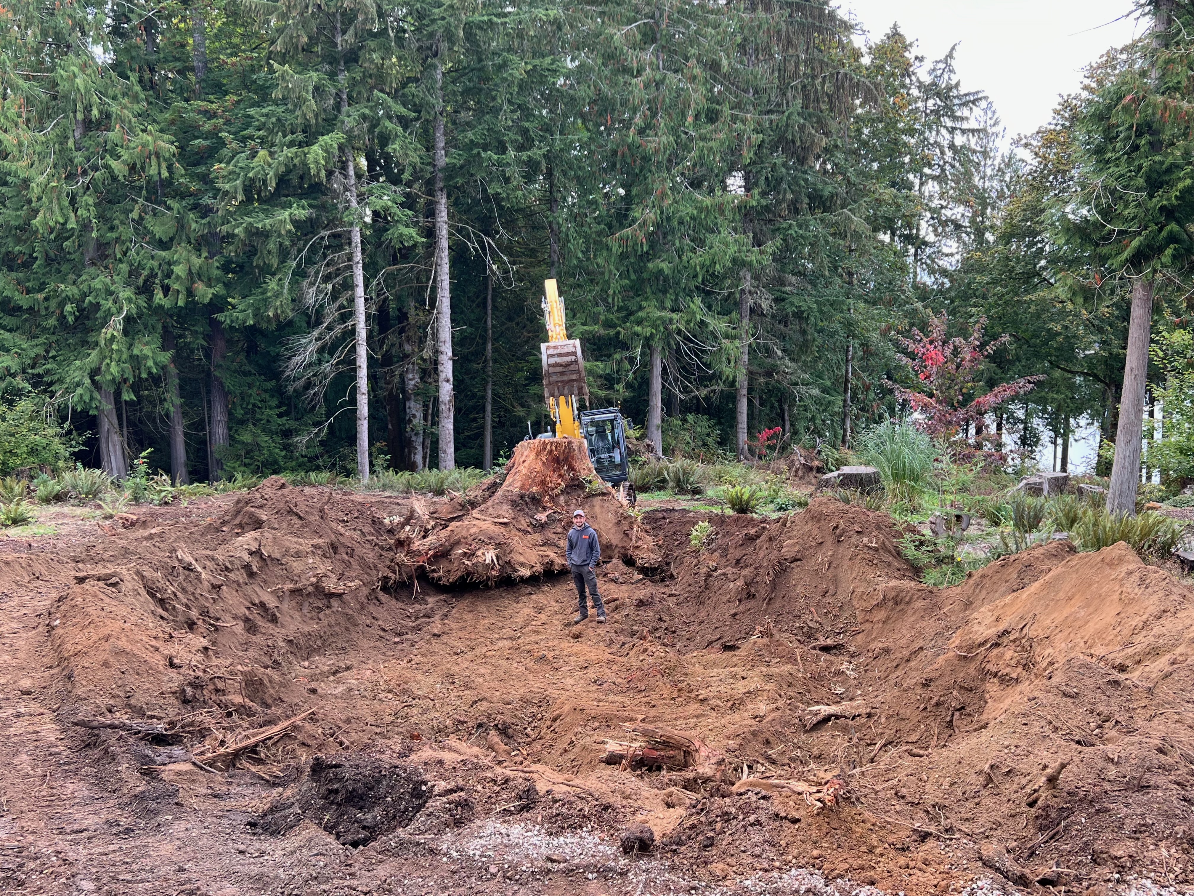 Stump removal